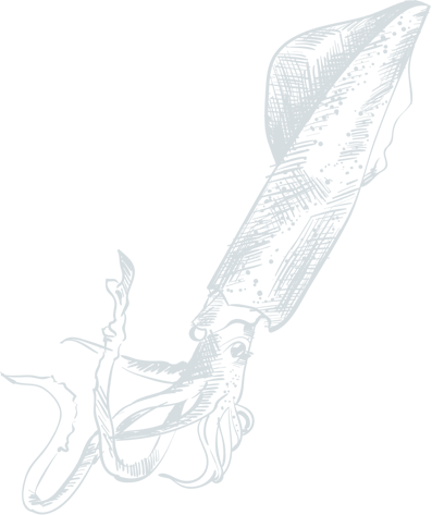 Shape Image