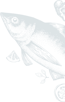 Shape Image